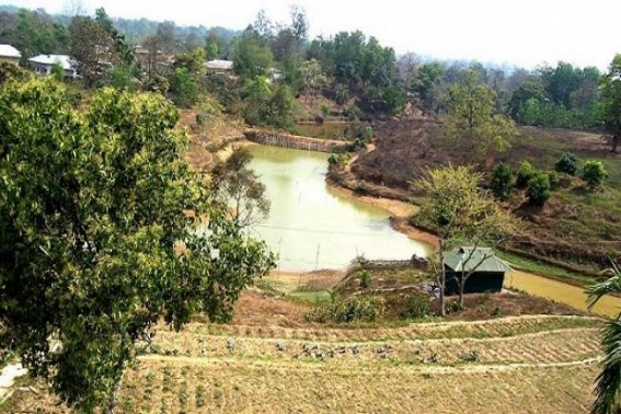 KVK organizes workshop on fish breeding KVK organizes workshop on fish breeding